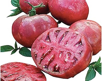 Cherokee Purple Tomato Seeds - Heirloom Slicer - 25 Seeds non standard shipping padded mailer in price