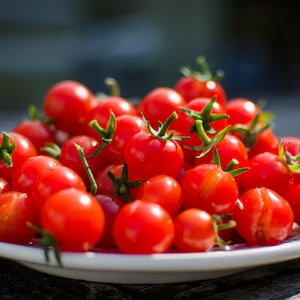 Red Cherry Tomato Seeds