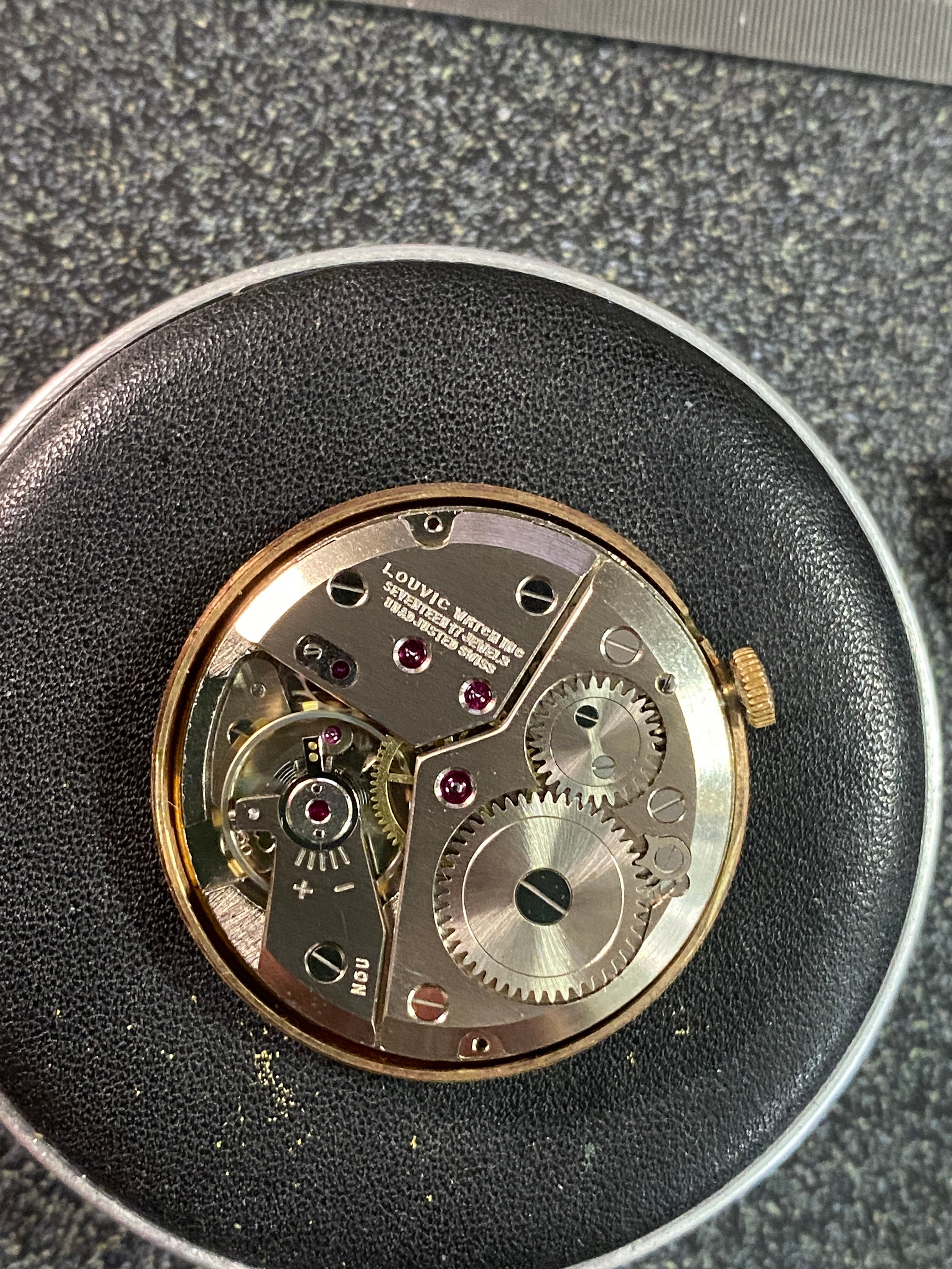 Louvic watch company sale