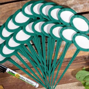 Plant Marker / Garden Markers Set of 20