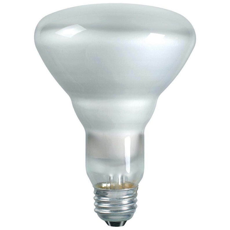 Sylvania BR40 65W 120V Indoor Large Flood Light Bulb Etsy