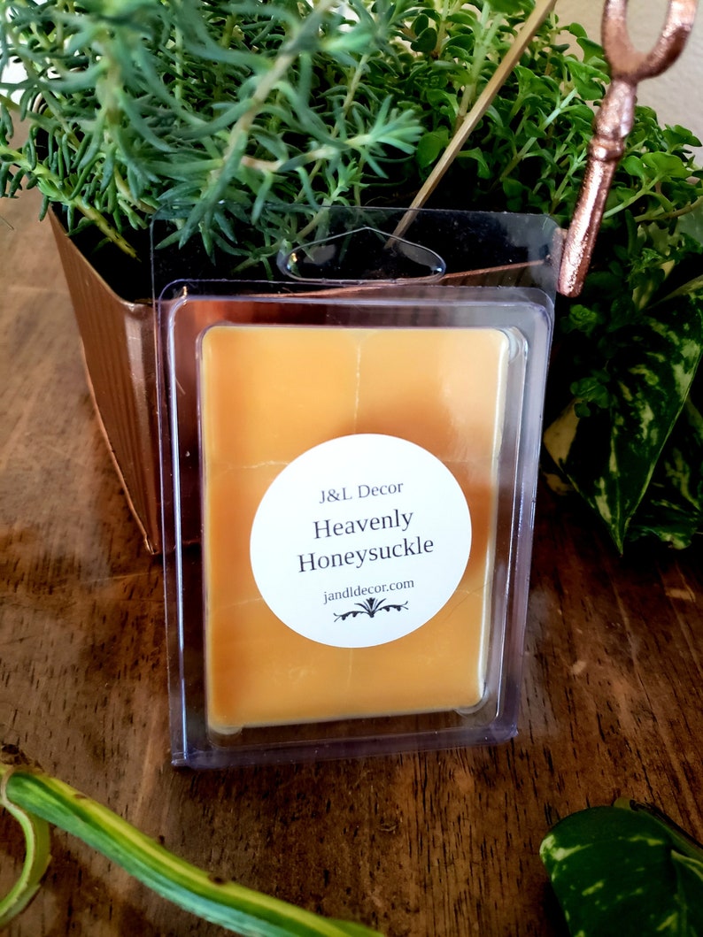 Soy Wax Tarts Cabana Coconut Wax Melts 3 oz Soy Wax Melts