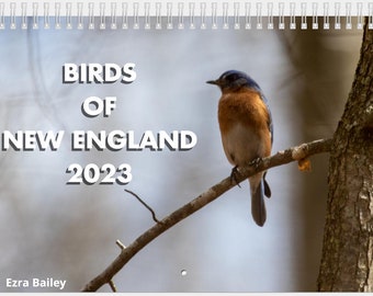 2023 Calendar Of Extremely Accurate Birds — Tommy Siegel | islamiyyat.com