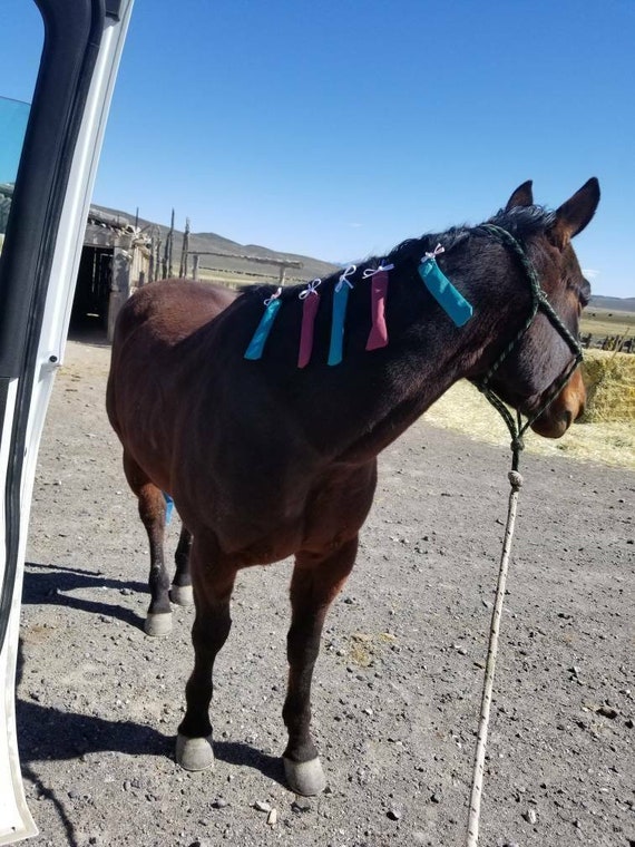 Mane Bags for Horses Etsy