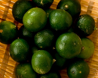 Citrus Shikuwasa Limes   > citrus depressa > Japanese Green lime /   5 fresh seeds