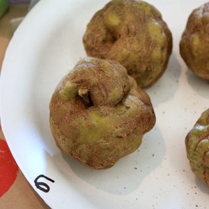 Puede incluir: Cuatro frutas marrones y verdes con nudos en un plato blanco. Las frutas tienen una textura rugosa y están ligeramente deformadas.