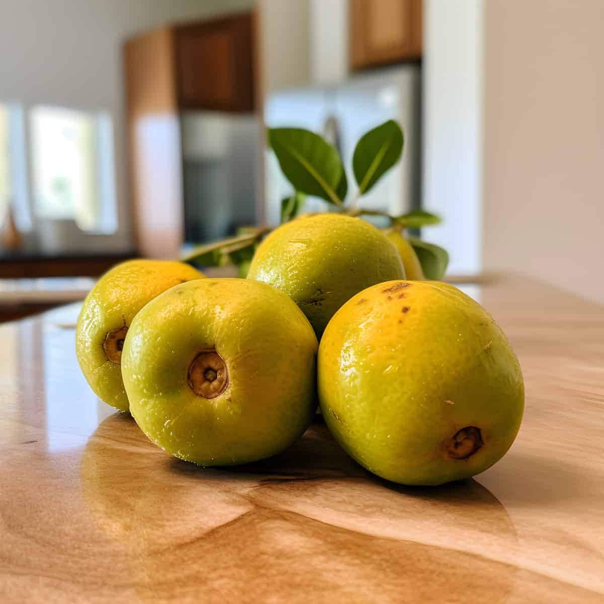 Kabosu___lemon___ページ Kabosu – Japanese Citrus Guide