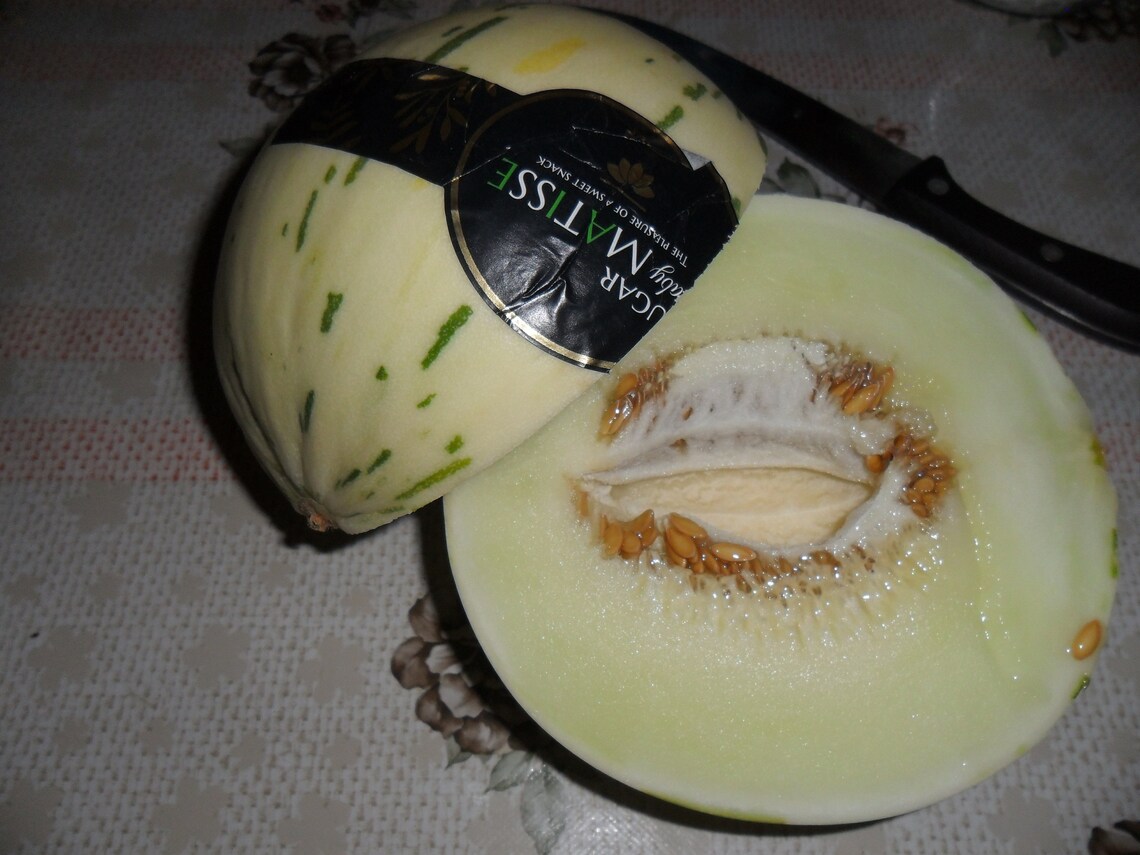 Sweet Melon Sugar Baby Matisse / 10 Fresh Seeds for Sowing Etsy Ireland
