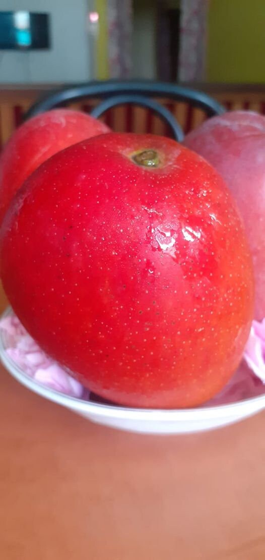 Uovo Del Sole, Mango | Andrea Lopopolo - Foto 11