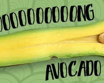 Persea americana Long neck > Avocado > 1 fresh seed for planting