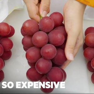 以下が含まれることがあります： 3房の赤いブドウが、それぞれ茎を持って、手で持たれている。ブドウは大きく丸く、房状に並んでいる。ブドウは濃い赤色で、光沢があり、ふっくらしている。