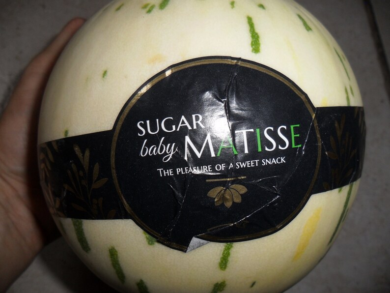 Sweet Melon Sugar Baby Matisse / 10 Fresh Seeds for Sowing Etsy Ireland