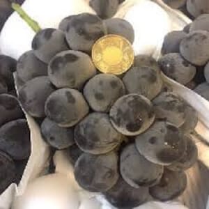 May include: A bunch of dark purple grapes, some with a white powdery coating, arranged in a cluster. A gold coin is placed on top of the grapes.