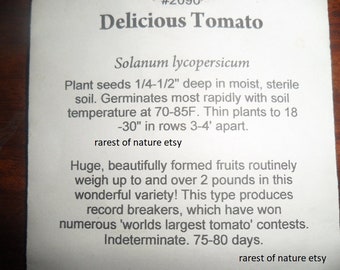 Delicious Tomato . 10 fresh seeds