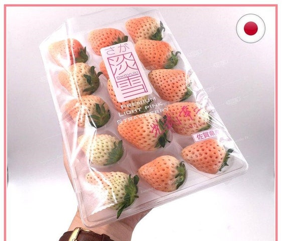 Japanese Awayuki Ichigo Strawberry 10 Fresh Seeds - Etsy Israel