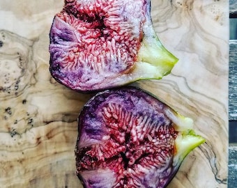 Ficus Carica Black Zadar Fig > 10 semillas frescas para plantar