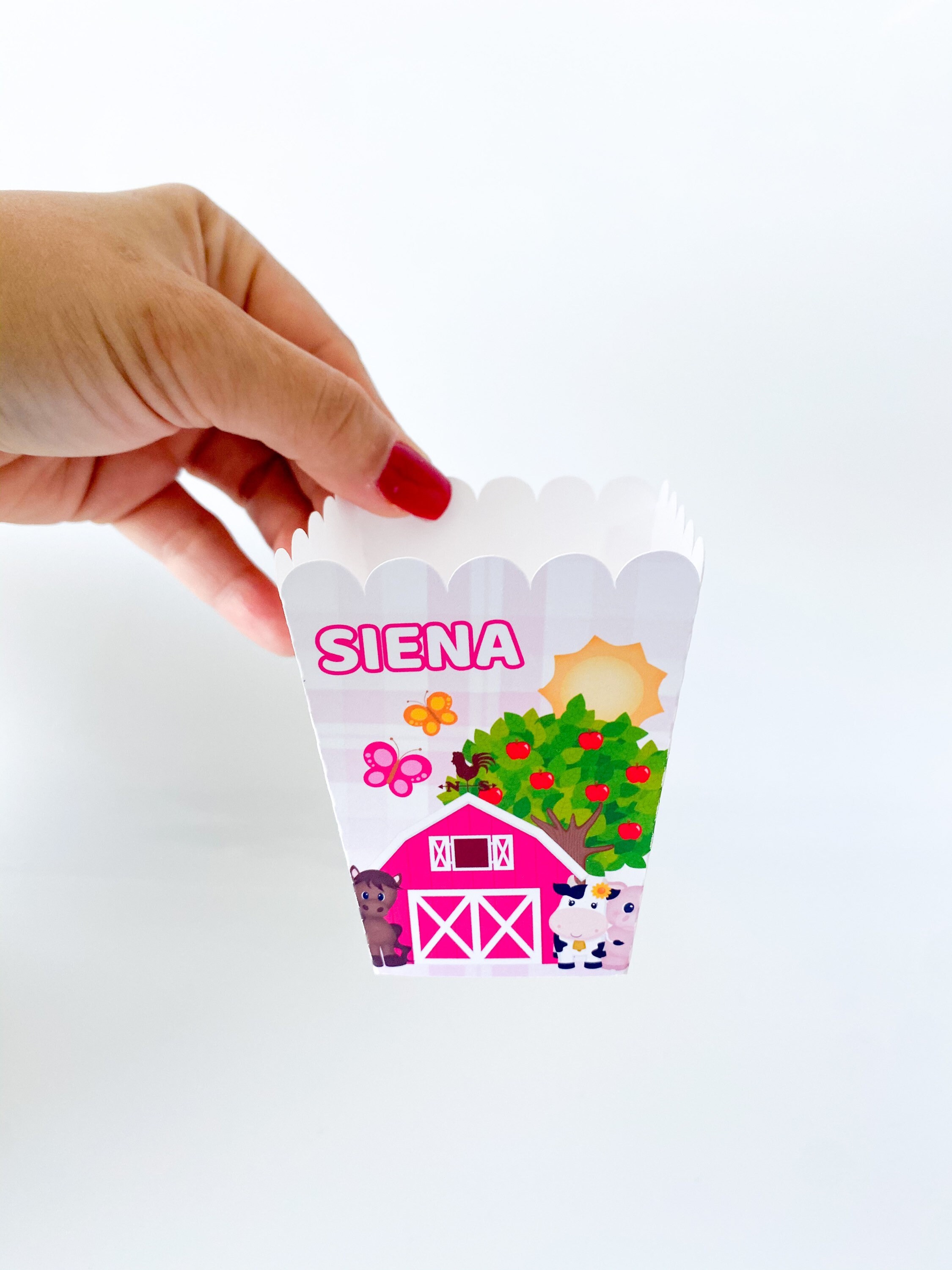 Farm Pop Corn Box Farm Candy Box Farm Decoration Farm Party Favor Farm Gift Box Pink Treat Box Farm Birthday Girl