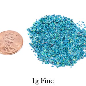 Puede incluir: Un mont&oacute;n de purpurina fina de color verde azulado junto a un centavo estadounidense. La purpurina tiene una calidad iridiscente. El texto "1g Fine" est&aacute; debajo.