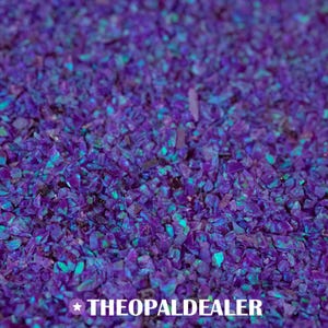 May include: Close-up of crushed purple and teal opal gemstones. The stones are small, irregular, and reflect light, creating a shimmering effect. The text "THEOPALDEALER" is at the bottom of the image.