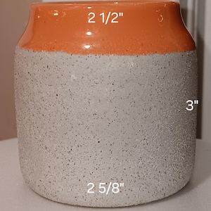 Bonsai pot