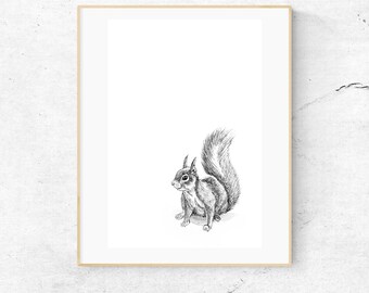 Squirrel Illustration. Cute Squirrel Print. Squirrel Nursery Art. Woodland Squirrel Print. Animal Illustration, Childrens Decor