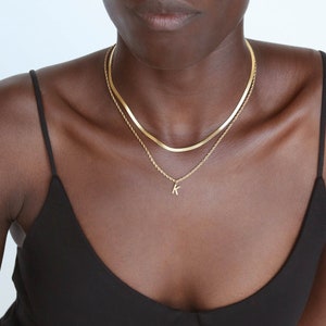 Doppel Ketten Halskette - verblasst niemals - Namen Halskette - Gold Buchstabe Halskette - Initialen Halskette - Geschenk für Frauen - Layering Halskette - N14