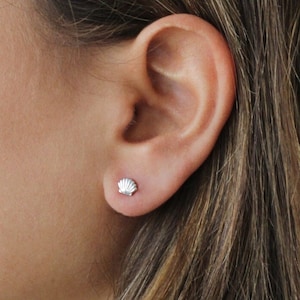 925 Silber Ohrstecker - Silber Muschel Ohrringe - 925 Massiv Sterling Silber - 925 Muschel Ohrringe - 925 Silber Strand Ohrringe - REDCHERRYBLVD