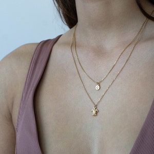 Waterproof Turtle Necklace 18k Gold Vermeil Necklace Minimalist Necklace Dainty Necklace Layering Necklace Everyday Necklace image 5