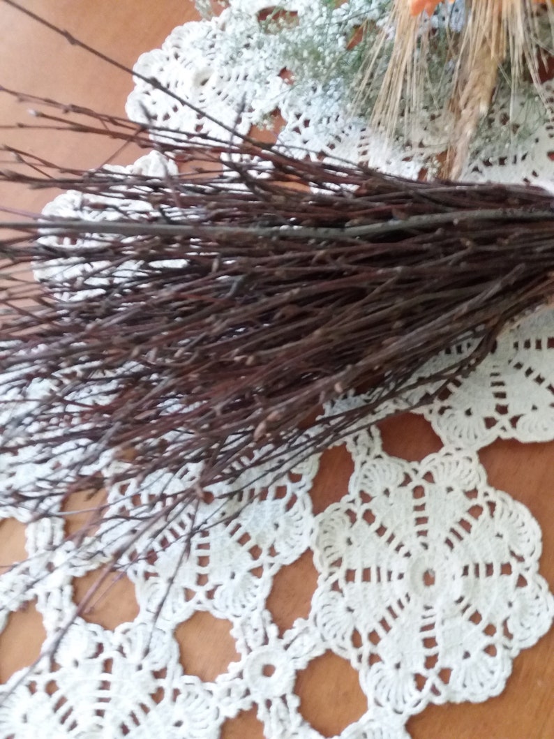 200 Birch Twigs Thiny Chew Sticks Chinchillas Rabbits Wood Etsy