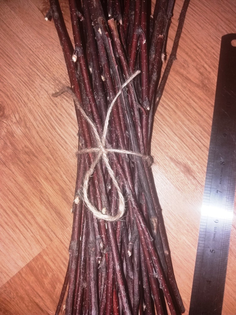 70 Birch Twigs Long Chew Sticks Chinchillas Rabbits Gerbils Etsy