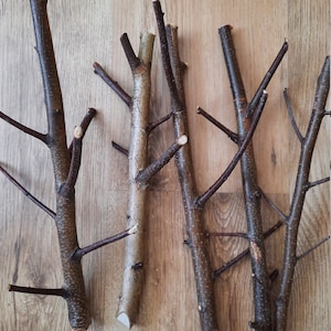 Birch twigs birch branches craft supplies decorative twigs natural branches wooden twigs craft sticks birch wood decor tree branches wedding