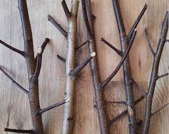 Birch twigs birch branches craft supplies decorative twigs natural branches wooden twigs craft sticks birch wood decor tree branches wedding