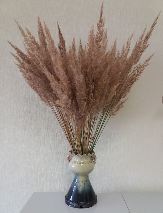 100 STEMS DRIED WHEAT//RYE BOUQUET FOR FLOWERS ARRANGING READY TO USE BROWN 20/"