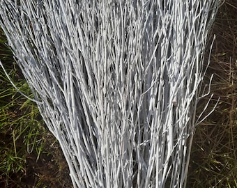 50/100 White Painted birch branches white Birch twigs birch branches white 18"/46 cm long