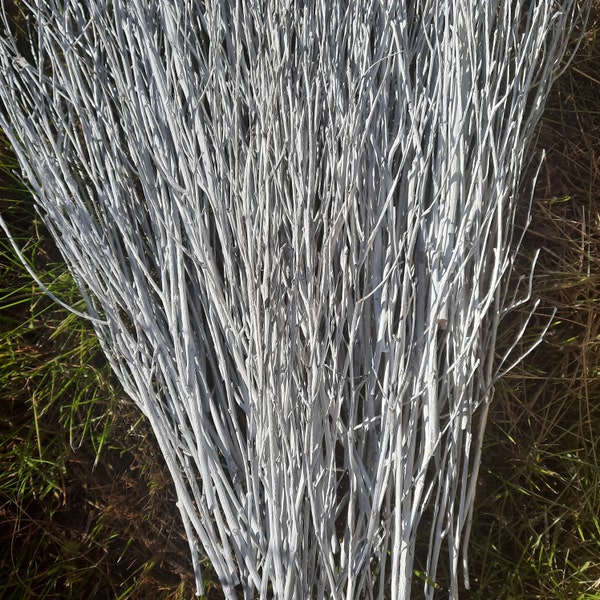 Brindilles de bouleau peintes en blanc branches de bouleau branches de bouleau fines décos avr. Centre de table de 15 po. de long, décoration de mariage boisé