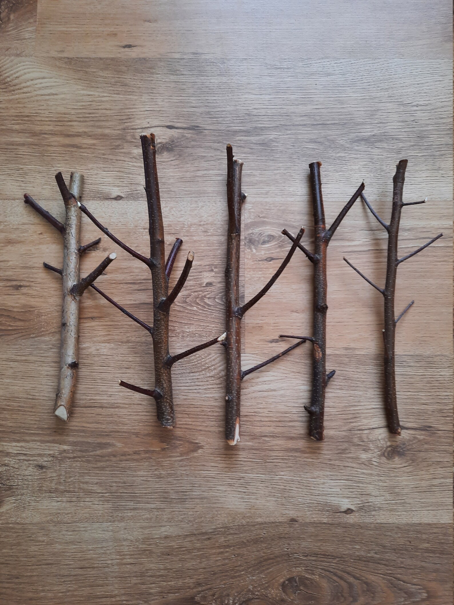 Birch Twigs Birch Branches Craft Supplies Decorative Twigs Etsy