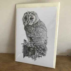 May include: A black and white drawing of a tawny owl perched on a branch. The owl has large, round eyes and a feathery body.