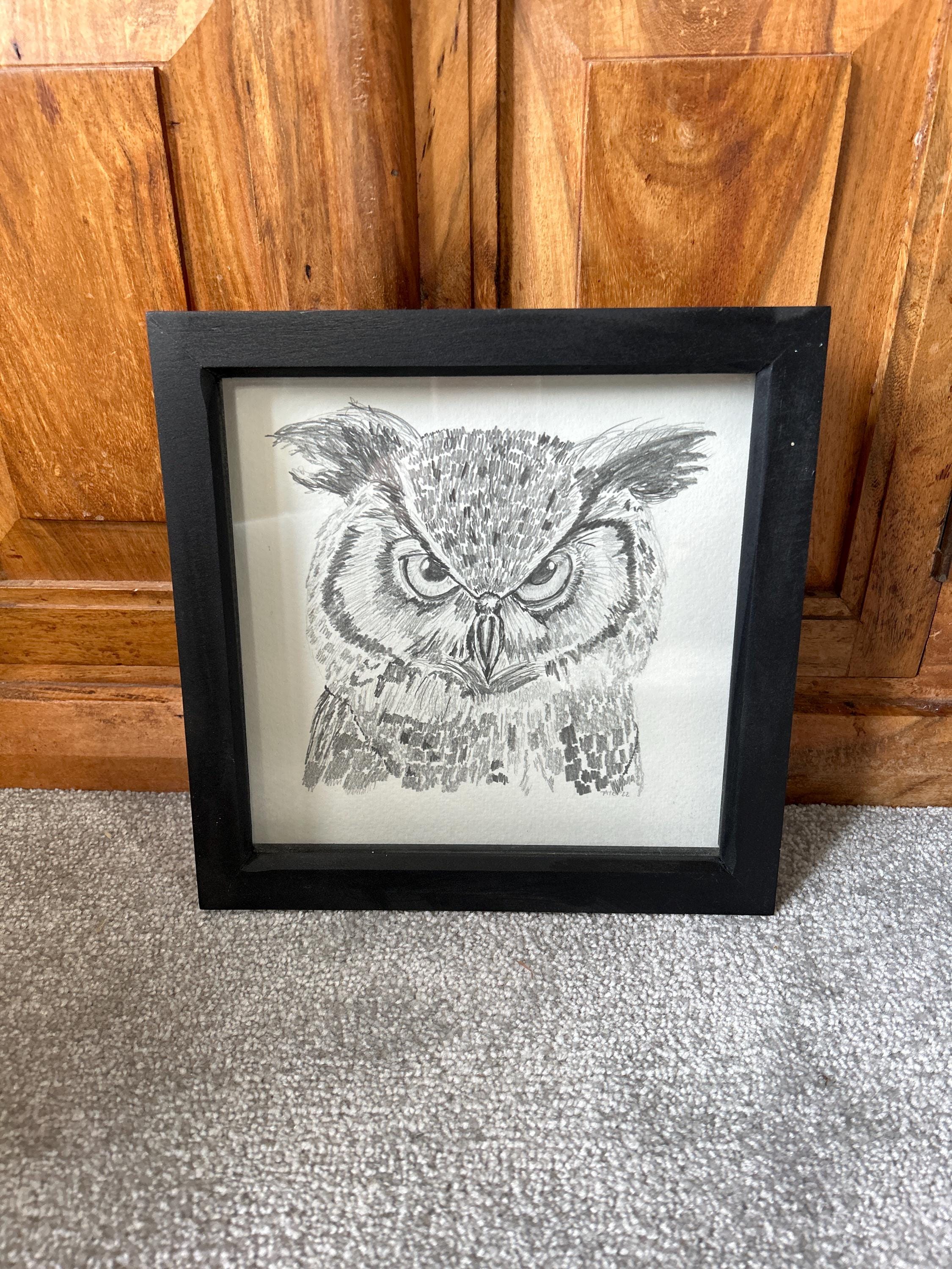 Angry Owl framed pencil drawing. Beginner's pencil wall hanging. Compact wall art. Owl head pict