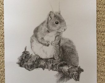 May include: A black and white pencil drawing of a squirrel sitting on a branch. The squirrel is looking to the right and has its tail curled around its body.