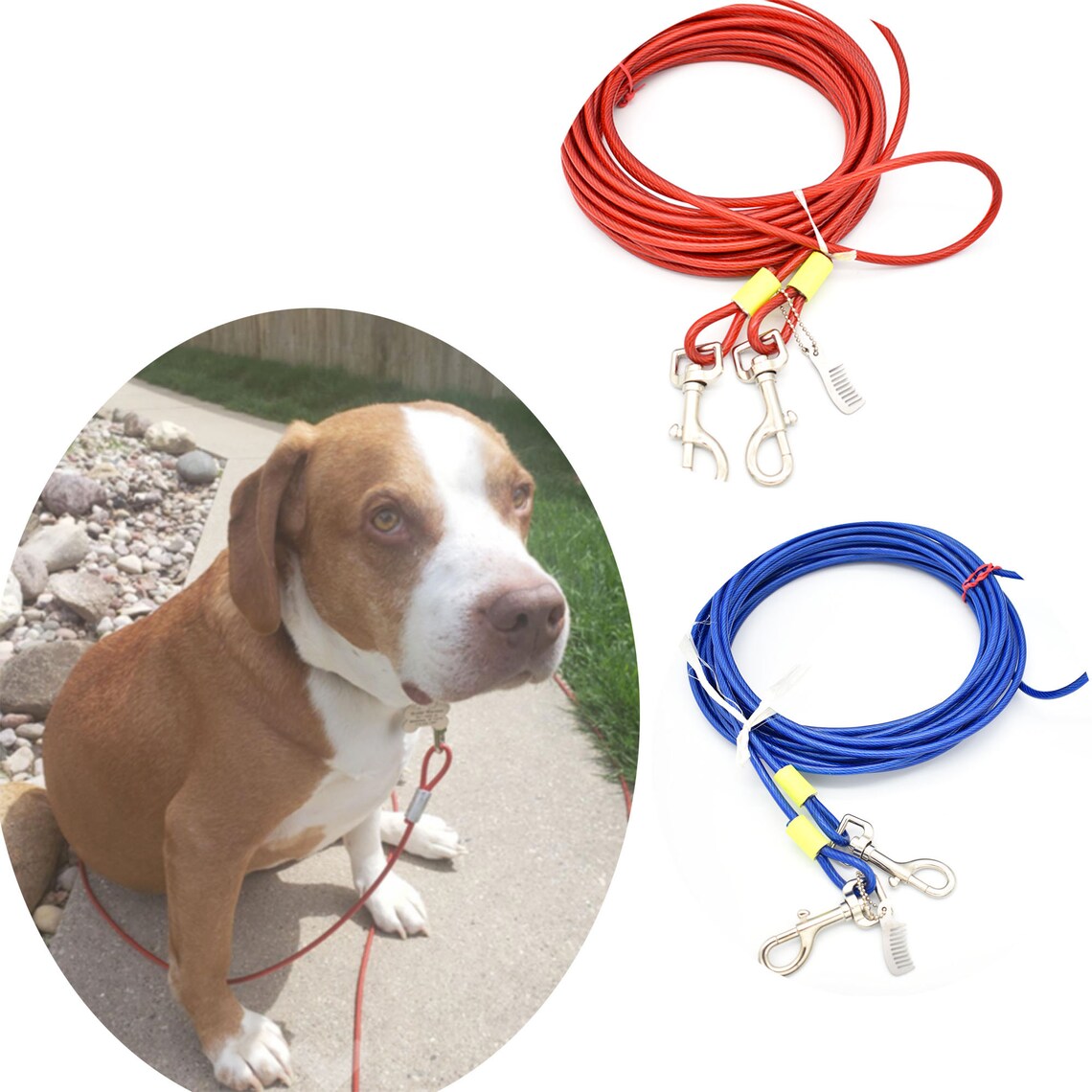Hund binden Kabel blau/rot Hund Leine PVC Edelstahl starke Etsy