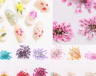 Dried Flower Nail Tools Nail Sticker Nail Sticker Set Embossed Lace Five Petal Flower Nail Art Accessories,Nail Art Crafts Party Supplies