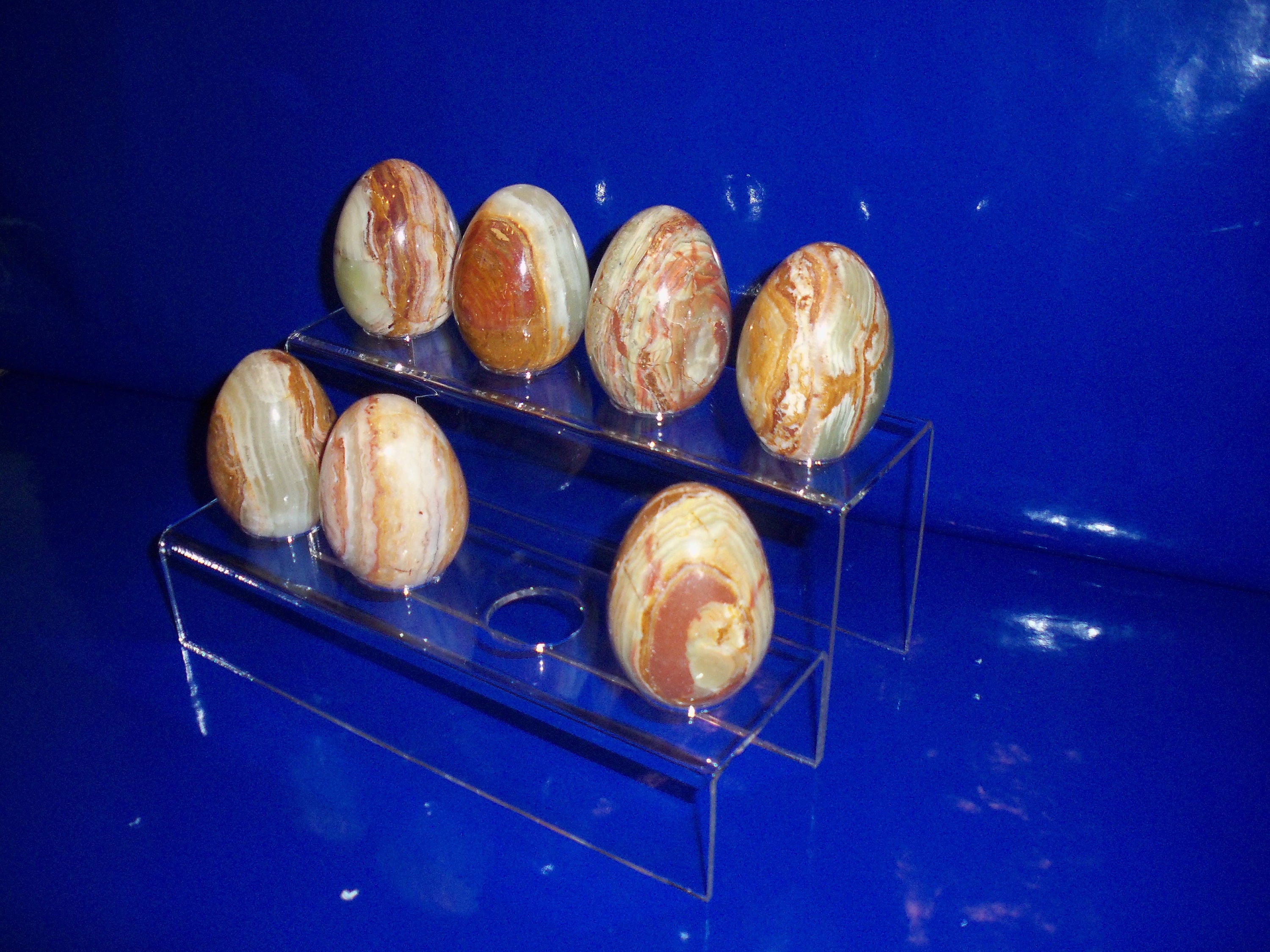 Clear acrylic collector eggs display stand for 8 eggs Etsy