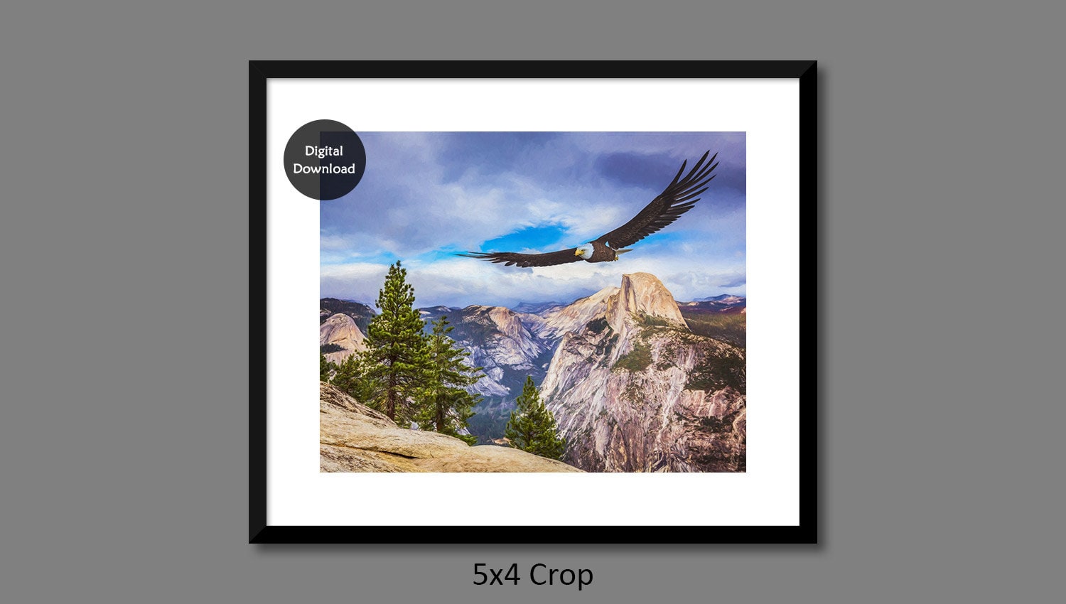 Bald Eagle at Yosemite Printable Digital Art Glacier Point Etsy UK