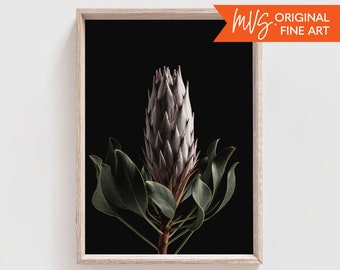 Pink Fine Art Print - Etsy