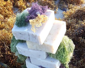 Super Sea Moss Soap with Purple Sea Moss, Gold Sea Moss and Spirulina
