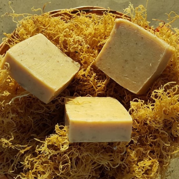 Gold Sea Moss Soap With Organic Turmeric Root Etsy