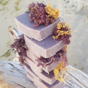 Purple Sea Moss Soap (Handmade, Vegan)
