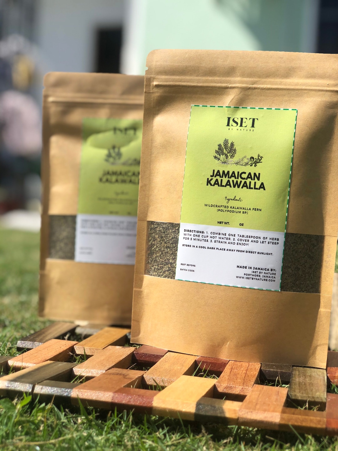 Kalawalla Herb Calaguala Polypodium Sp. Wildcrafted in Etsy Canada