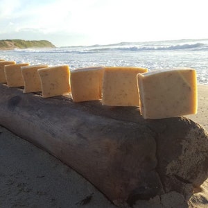 Gold Sea Moss Soap with Organic Turmeric Root image 2