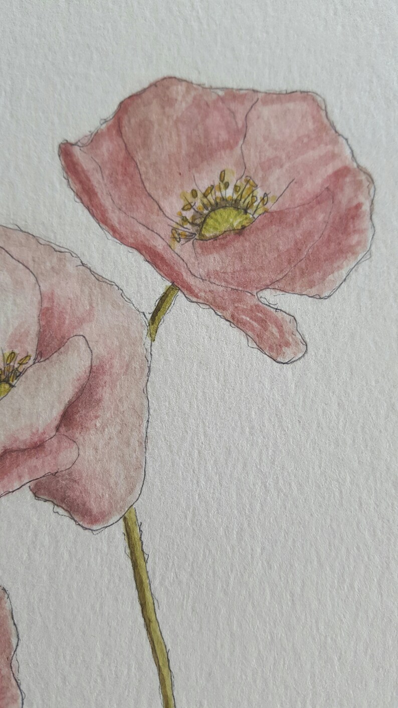 Rosa botánica acuarela / color de la pared de la pared / arte | Etsy